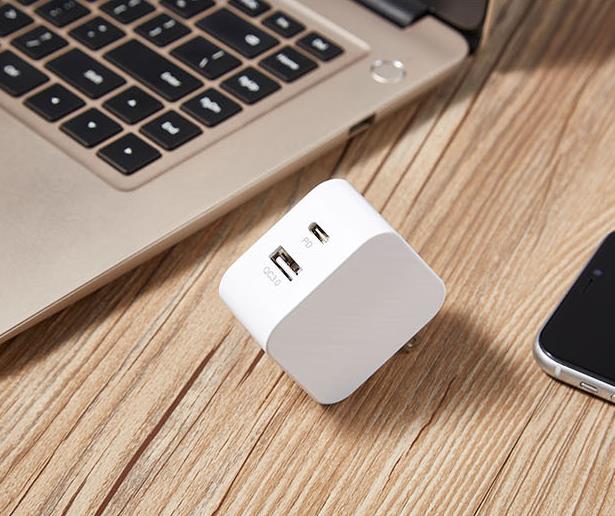 2 Port USB C Wall Charger